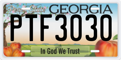 GA license plate PTF3030