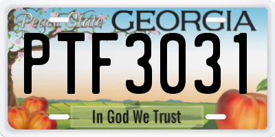 GA license plate PTF3031