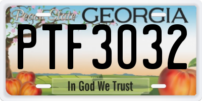 GA license plate PTF3032