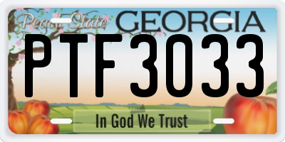 GA license plate PTF3033