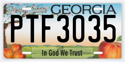 GA license plate PTF3035