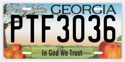 GA license plate PTF3036