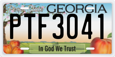 GA license plate PTF3041