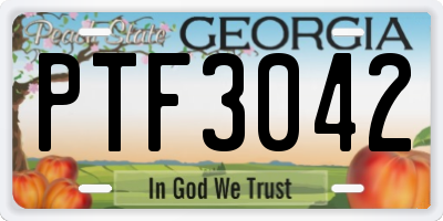 GA license plate PTF3042