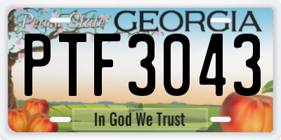 GA license plate PTF3043