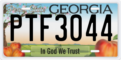 GA license plate PTF3044