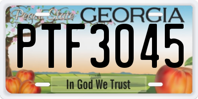 GA license plate PTF3045