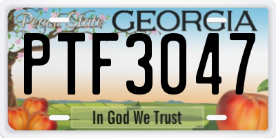GA license plate PTF3047