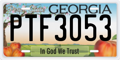 GA license plate PTF3053
