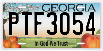 GA license plate PTF3054