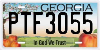 GA license plate PTF3055