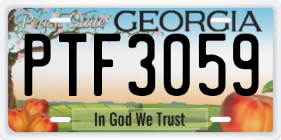 GA license plate PTF3059