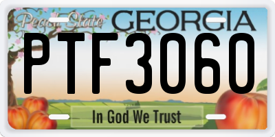 GA license plate PTF3060