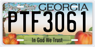 GA license plate PTF3061