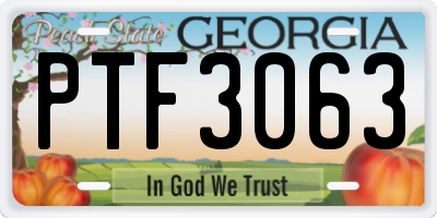 GA license plate PTF3063