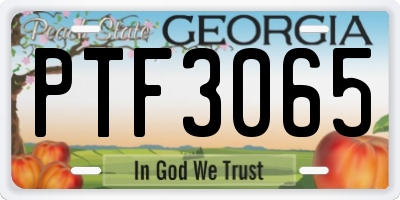 GA license plate PTF3065