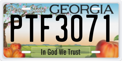 GA license plate PTF3071