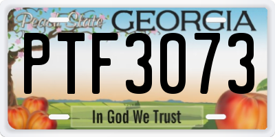 GA license plate PTF3073