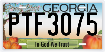 GA license plate PTF3075