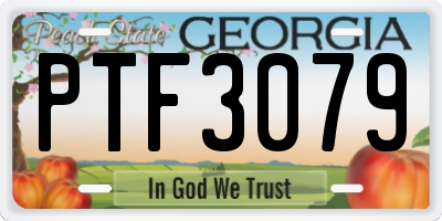 GA license plate PTF3079