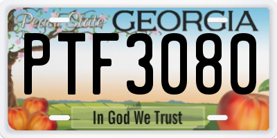 GA license plate PTF3080