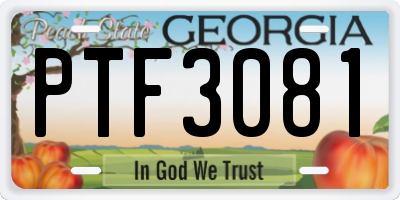 GA license plate PTF3081