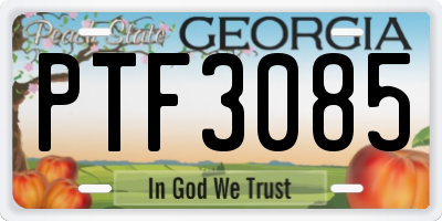 GA license plate PTF3085