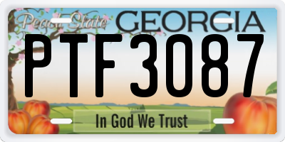 GA license plate PTF3087