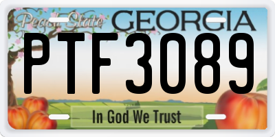 GA license plate PTF3089