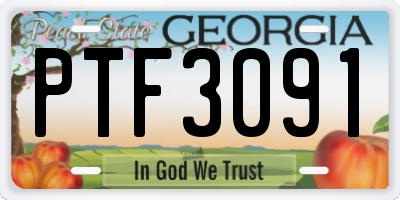 GA license plate PTF3091