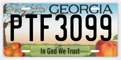 GA license plate PTF3099