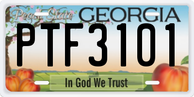 GA license plate PTF3101