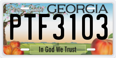 GA license plate PTF3103