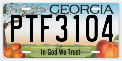 GA license plate PTF3104