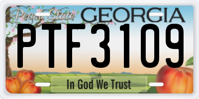 GA license plate PTF3109