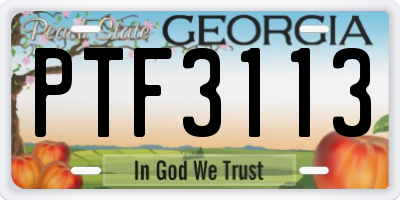 GA license plate PTF3113