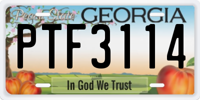 GA license plate PTF3114