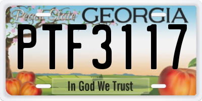 GA license plate PTF3117