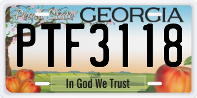 GA license plate PTF3118