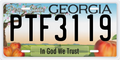 GA license plate PTF3119