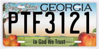 GA license plate PTF3121
