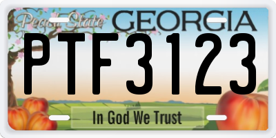 GA license plate PTF3123