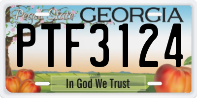 GA license plate PTF3124