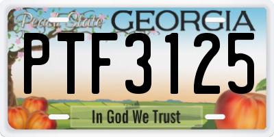 GA license plate PTF3125