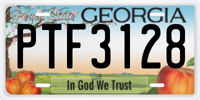GA license plate PTF3128