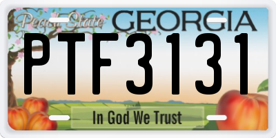 GA license plate PTF3131