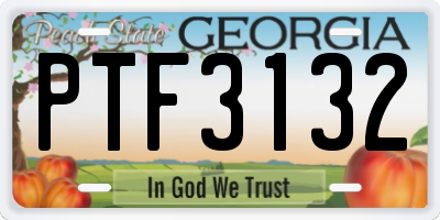 GA license plate PTF3132