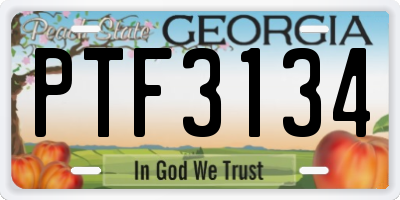 GA license plate PTF3134