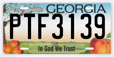 GA license plate PTF3139