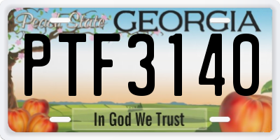 GA license plate PTF3140